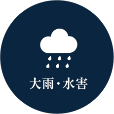 大雨・水害