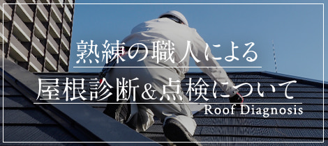 熟練の職人による屋根診断＆点検について